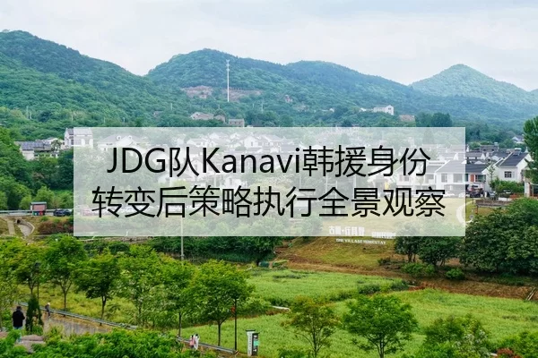 JDG队Kanavi韩援身份转变后策略执行全景观察